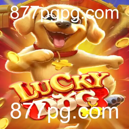 Descubra LuckyDog: Uma Nova Experiência de Jogo com 877pg.com